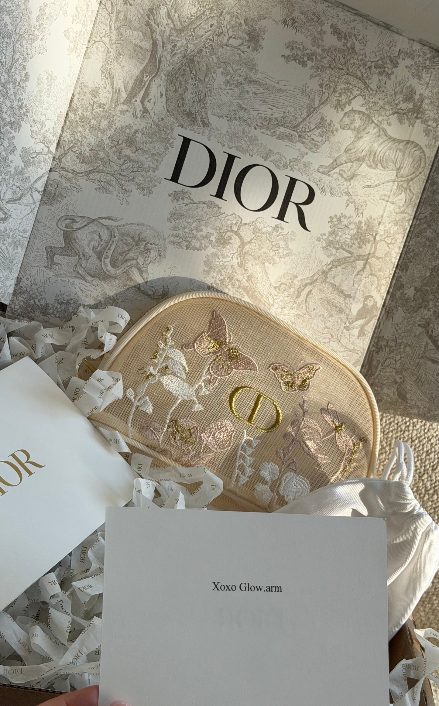 Christian Dior makeup bag