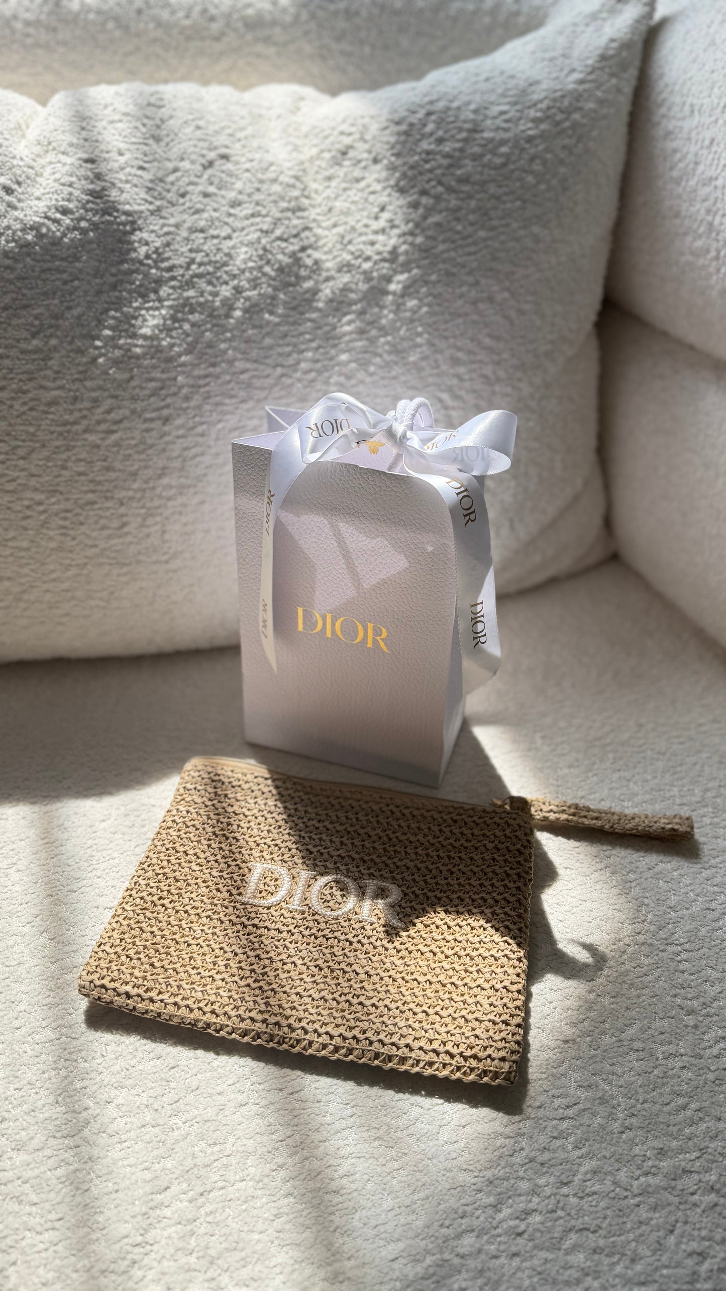 Christian Dior pouch