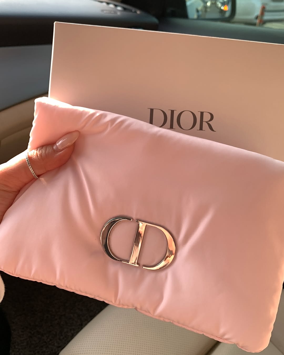 Dior Makeup Bag