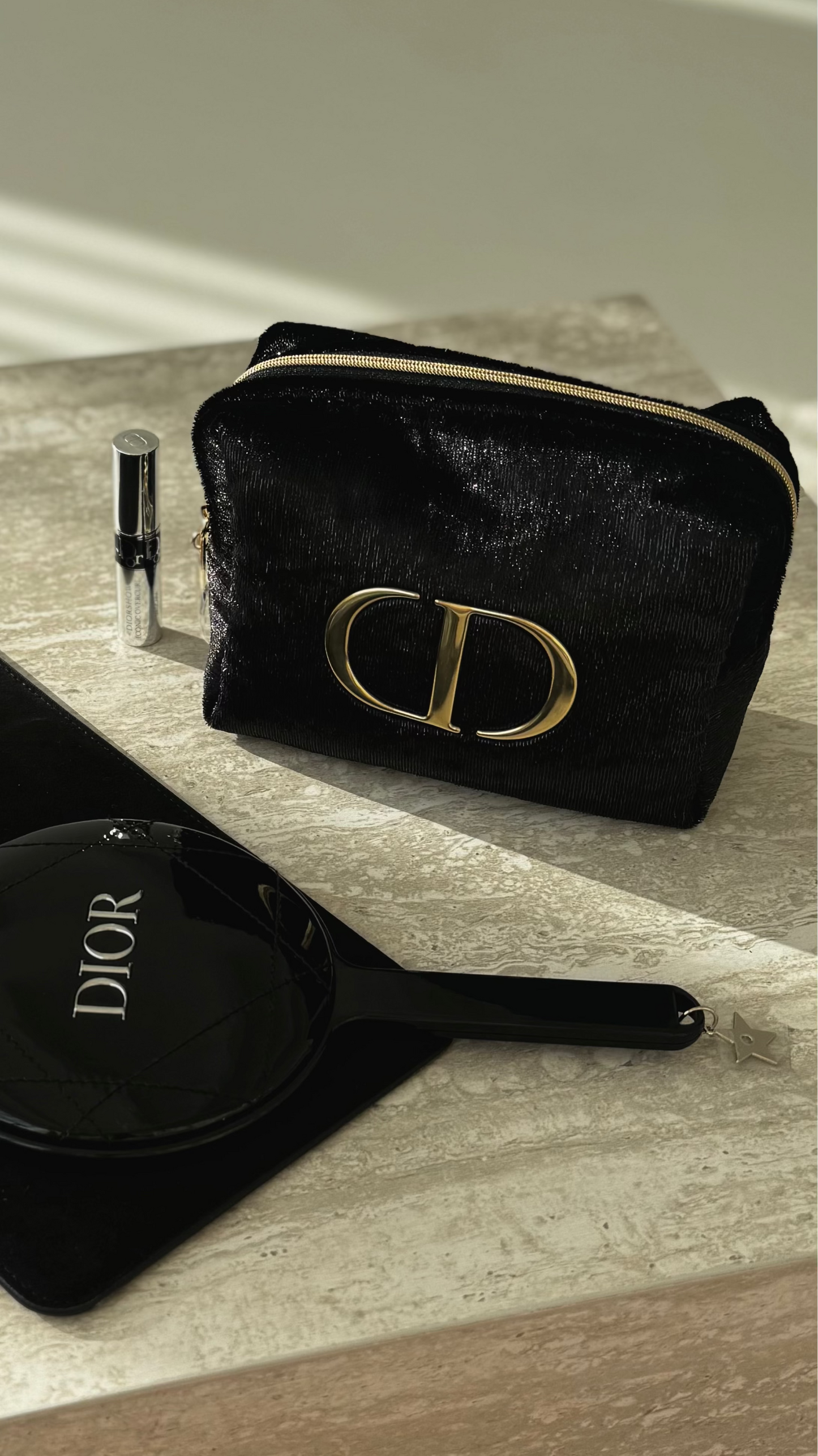 Dior Makeup Bag