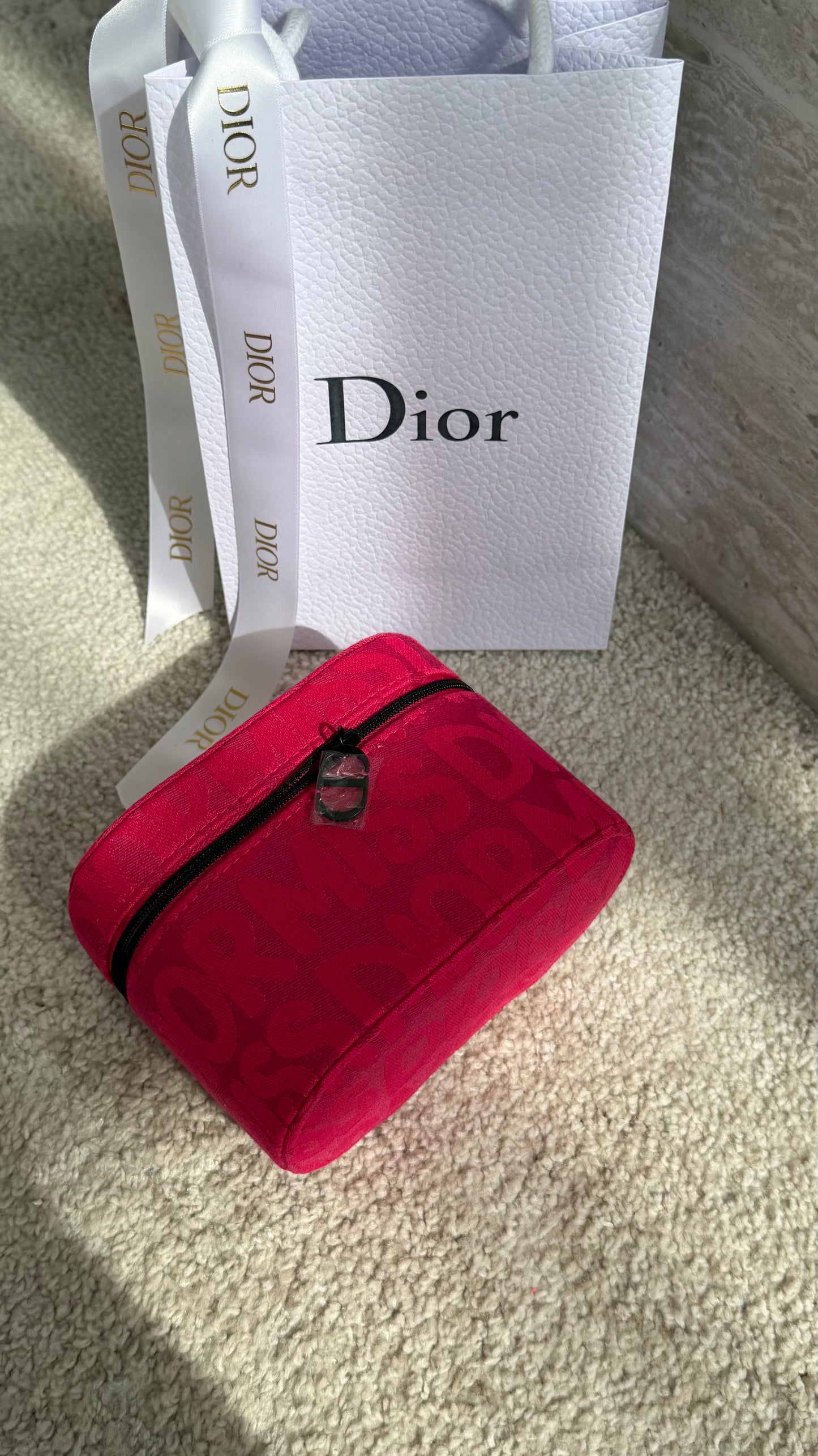Christian Dior Makeup Bag